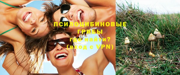 ГАЛЛЮЦИНОГЕННЫЕ ГРИБЫ Балахна