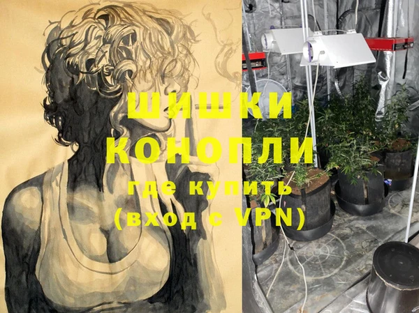 ГАЛЛЮЦИНОГЕННЫЕ ГРИБЫ Балахна