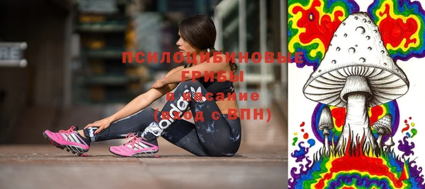 ГАЛЛЮЦИНОГЕННЫЕ ГРИБЫ Балахна