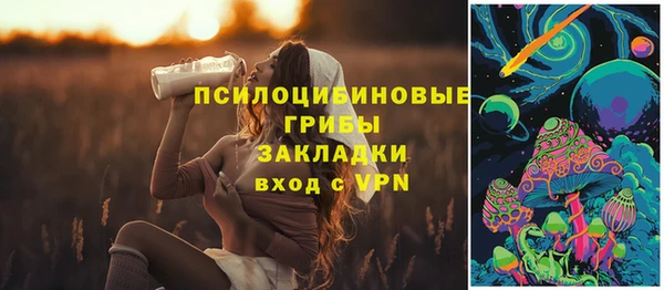 ГАЛЛЮЦИНОГЕННЫЕ ГРИБЫ Балахна
