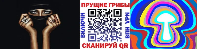 хочу наркоту  Сосновый Бор  Псилоцибиновые грибы Magic Shrooms 